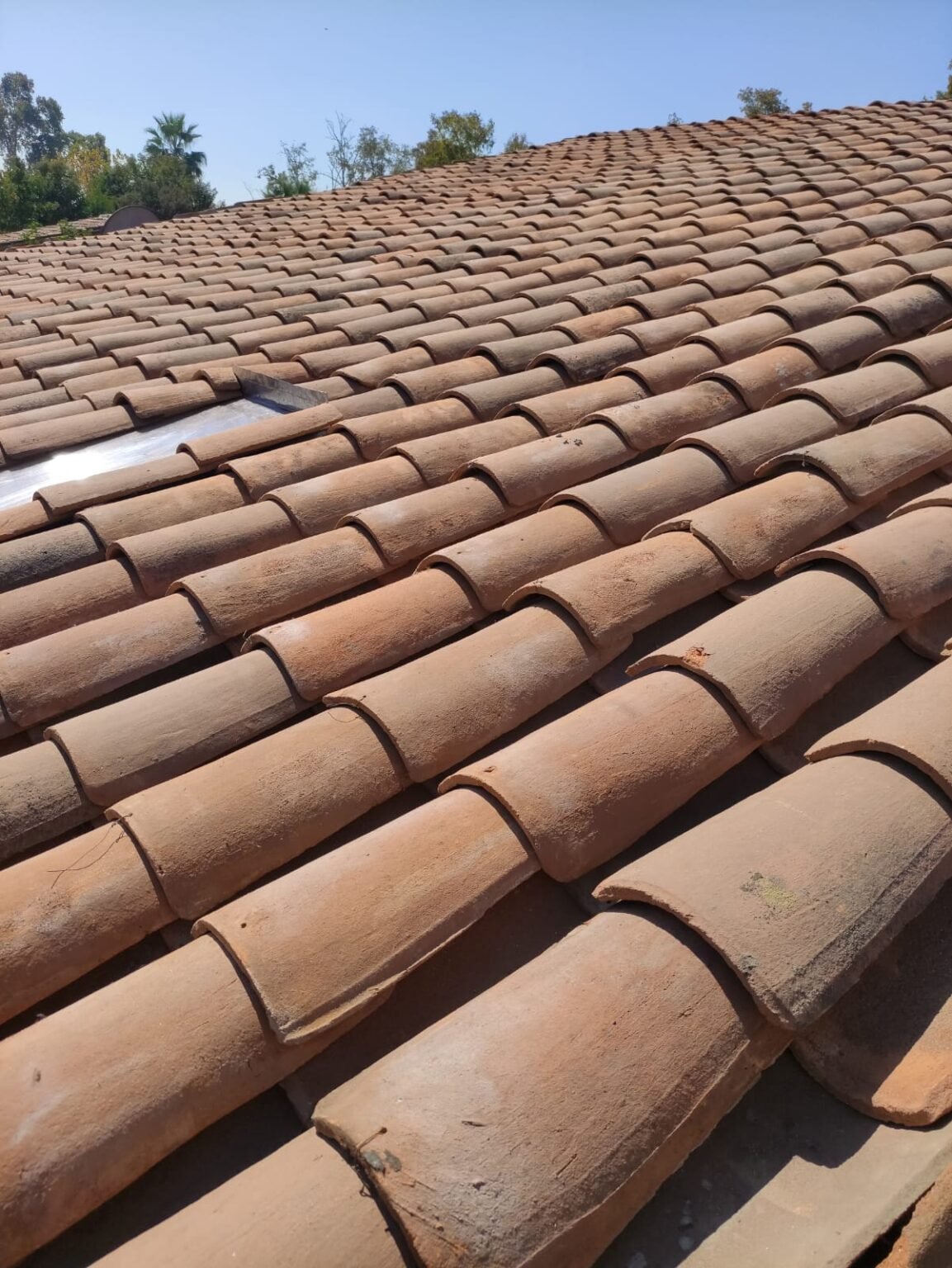 WhatsApp Image 2026-02-27 at 10.37.19 PM