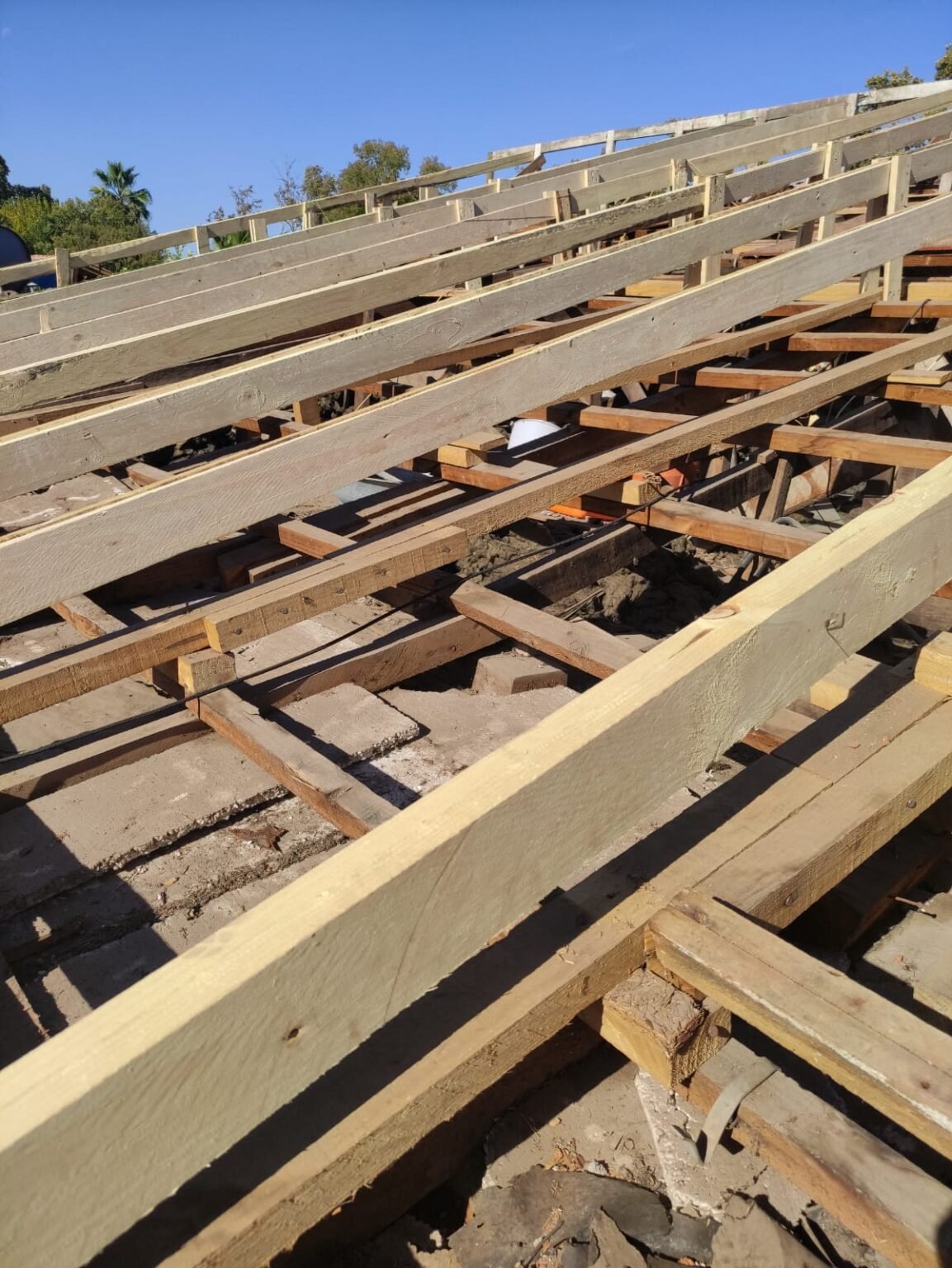 WhatsApp Image 2026-02-27 at 10.37.19 PM (3)